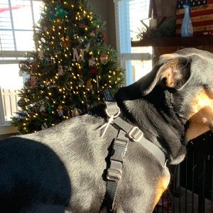 Meet your Posher, Sam